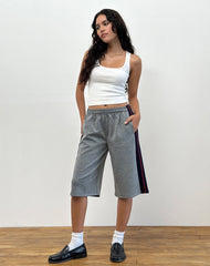 Ridley Side Stripe Shorts in Grey